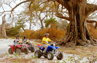 Excursion en quad